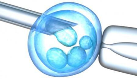витрификация эмбрионов 1 криотоп 