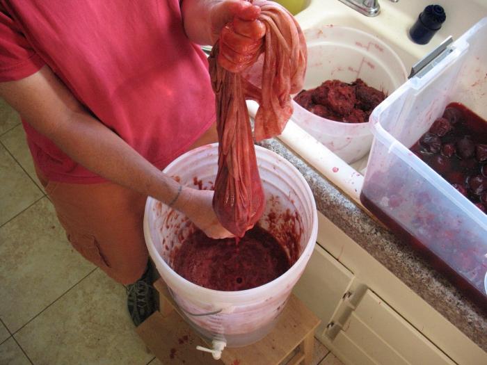 Making homemade plum wine