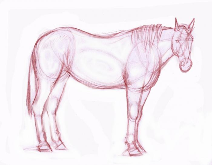 How to draw a horse in pencil