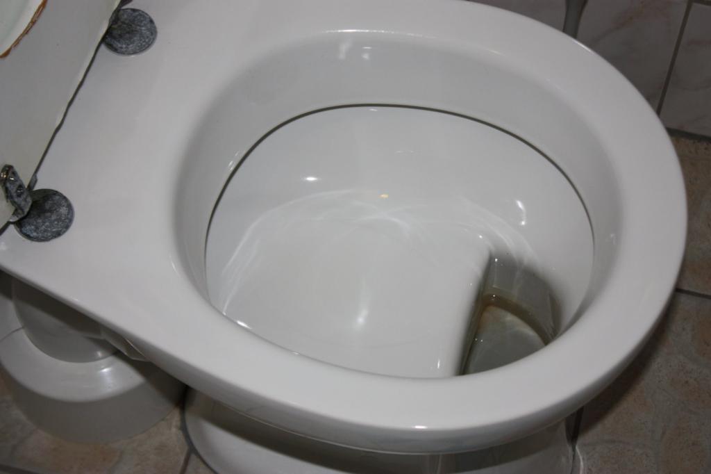 types of flushing toilet