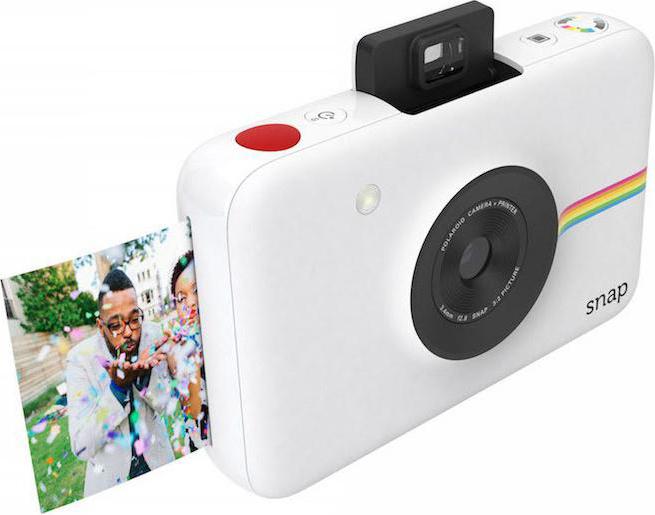 Polaroid 2000ff примеры фото