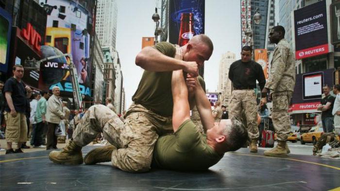 Russian hand-to-hand combat section in Moscow