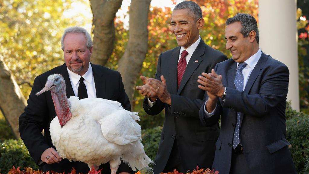 Thanksgiving turkey pardon - also pardon