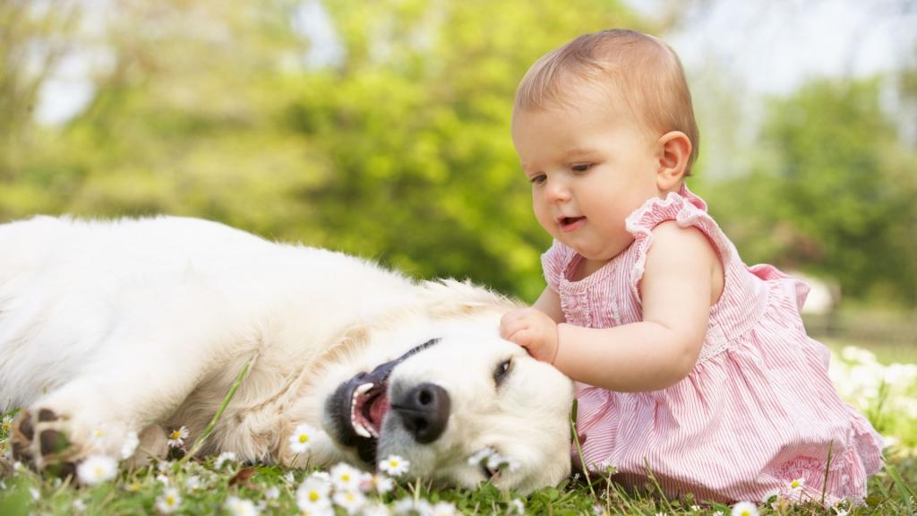 Children regularly finish their pets