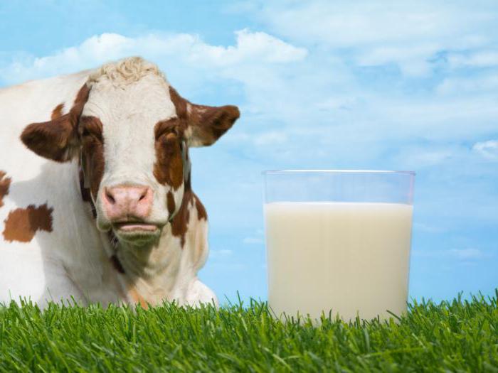 фермерское молоко