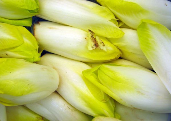 brussels asparagus chicory