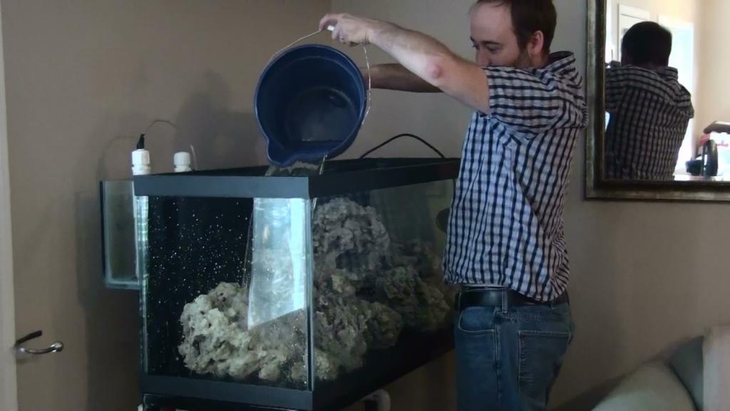 как часто нужно менять воду в аквариуме 50 литров с фильтром