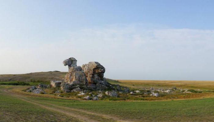 гора верблюд самарская область