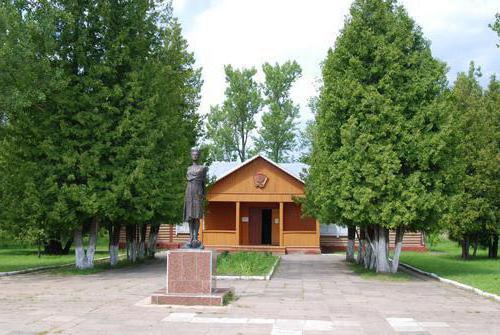 зоя космодемьянская музей в петрищево