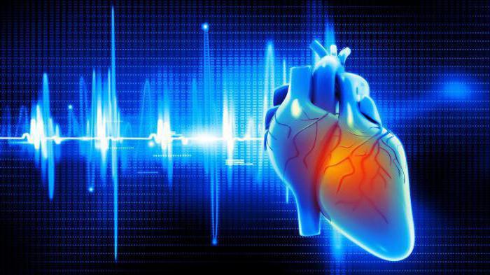 normal physiology of the cardiovascular system