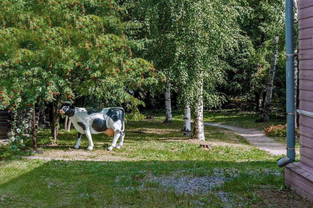 Museums of Cherepovets