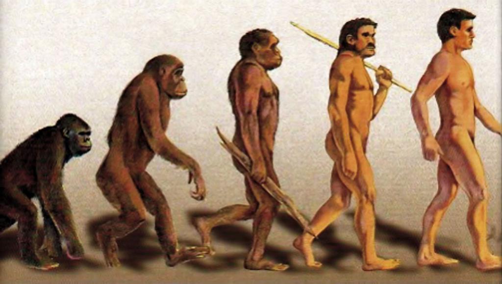Теория эволюции Дарвина
