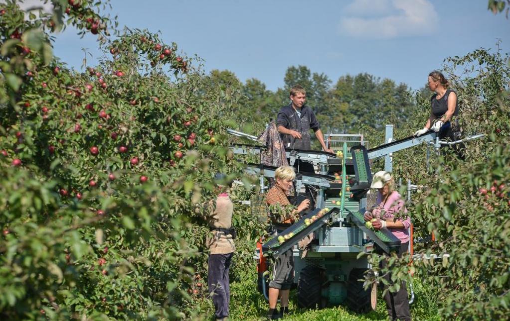 Хозяйство Рассвет