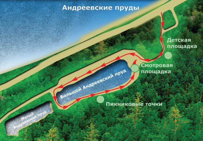 андреевские пруды саратов как доехать