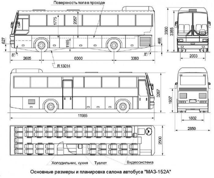 Схема междугороднего автобуса. МАЗ-152 автобус. МАЗ 152 чертеж. Длина автобуса КАВЗ 4238. Автобус МАЗ габариты.