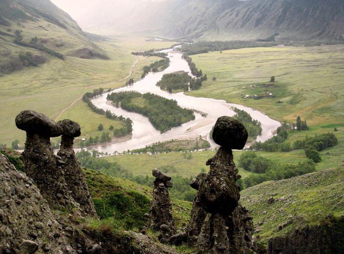 Каменные грибы алтай фото