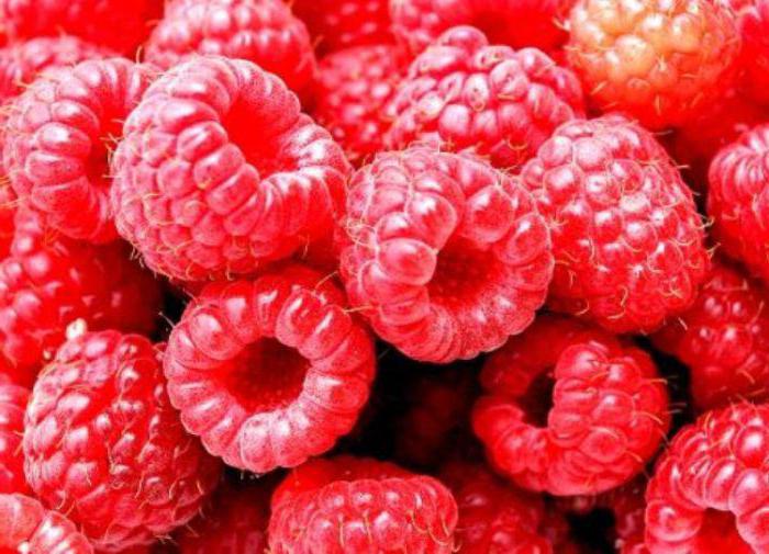 Can raspberries during pregnancy