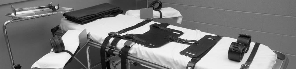 проблемы смертной казни и пожизненного лишения свободы