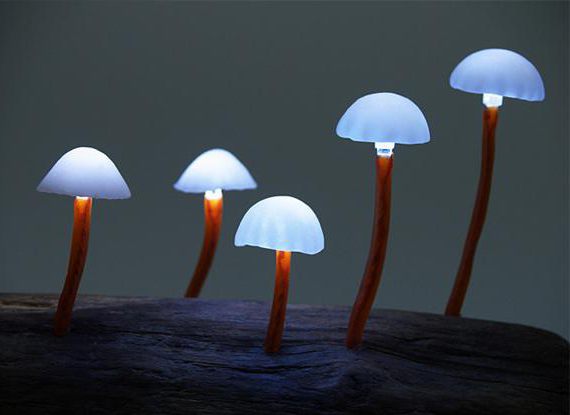 сочинение сказка про грибы