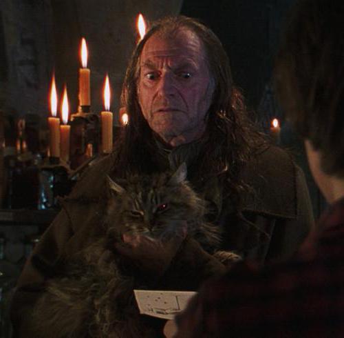 Argus Filch