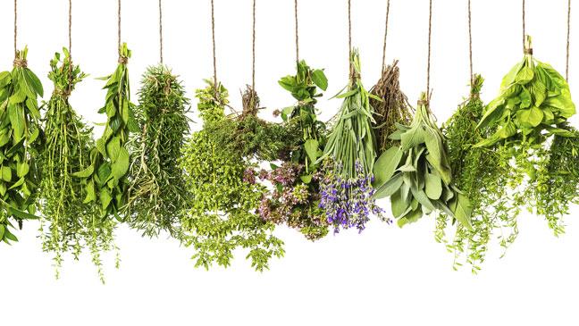 medicinal herbs