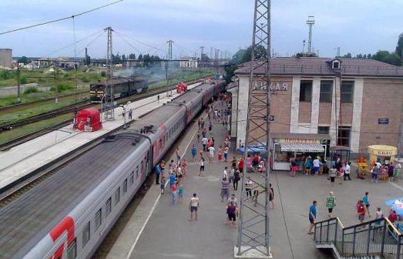 Поезд москва мурманск фото