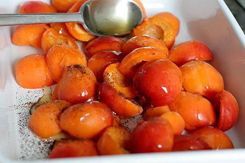 блюда с абрикосами рецепт с фото