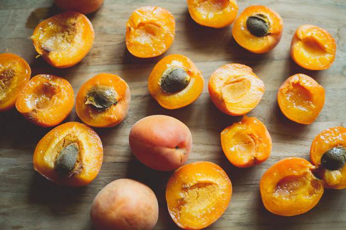 блюда из творога и абрикосов