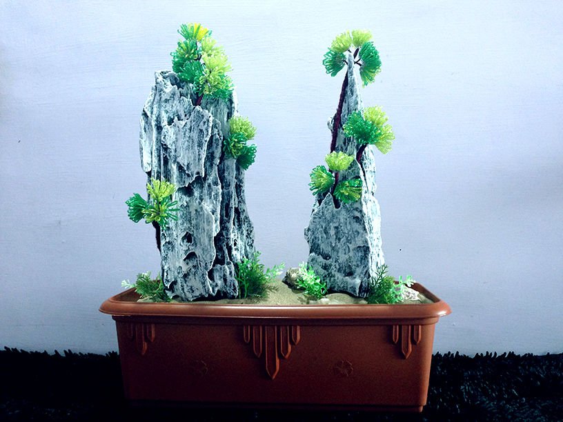 how to make bonsai from