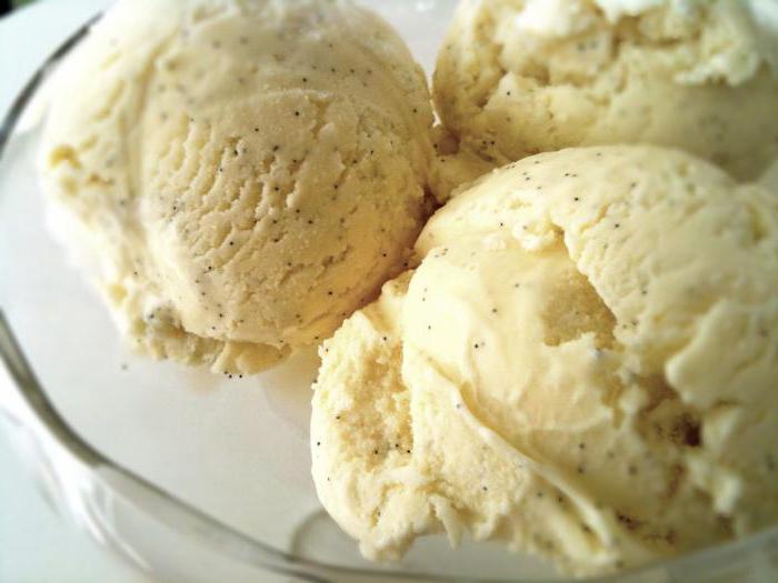 homemade ice cream in an ice cream maker