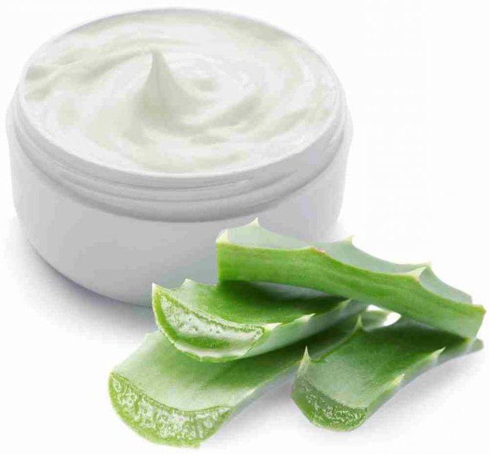 aloe healing properties recipes