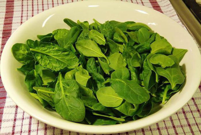 листья салата польза и вред для организма