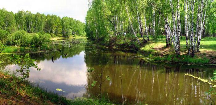 fishing yusupovo