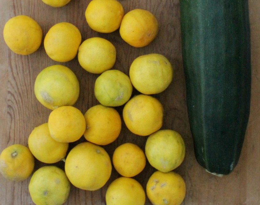 рецепт варенья из кабачков с лимонами