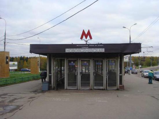 станция Новоясеневская описание 
