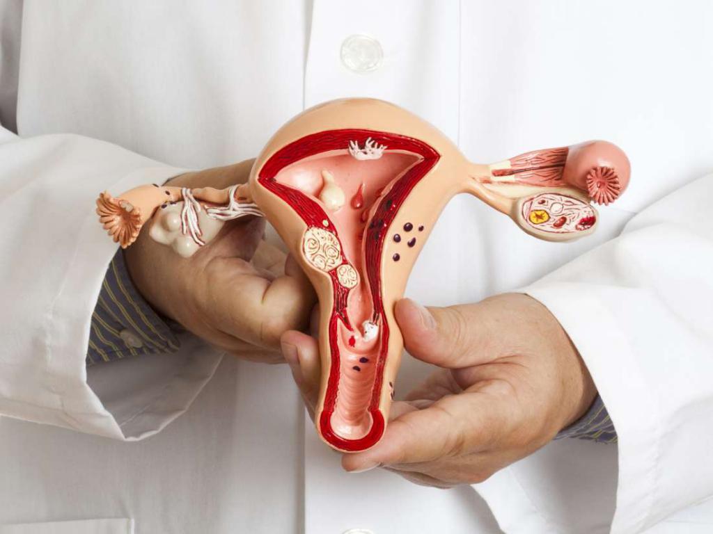 выработка прогестерона у женщин