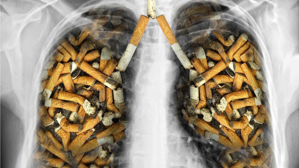 влияние никотина на дыхательные органы