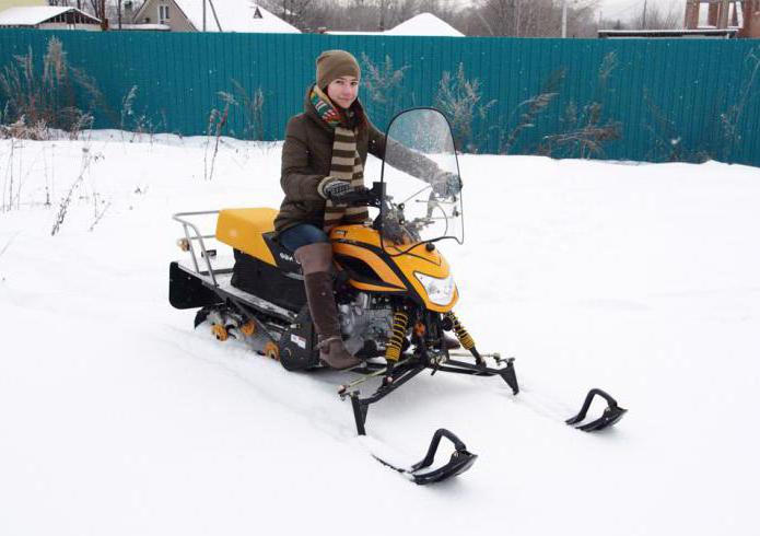 review irbis dingo t125 snowmobile in the trunk of a car