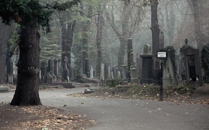 olshanskoye cemetery