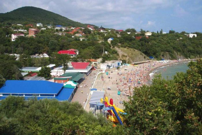 Krasnodar Territory Krinitsa Village