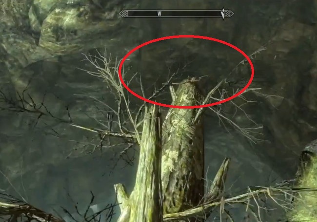 Skyrim: Onion Marshmallow - where to find