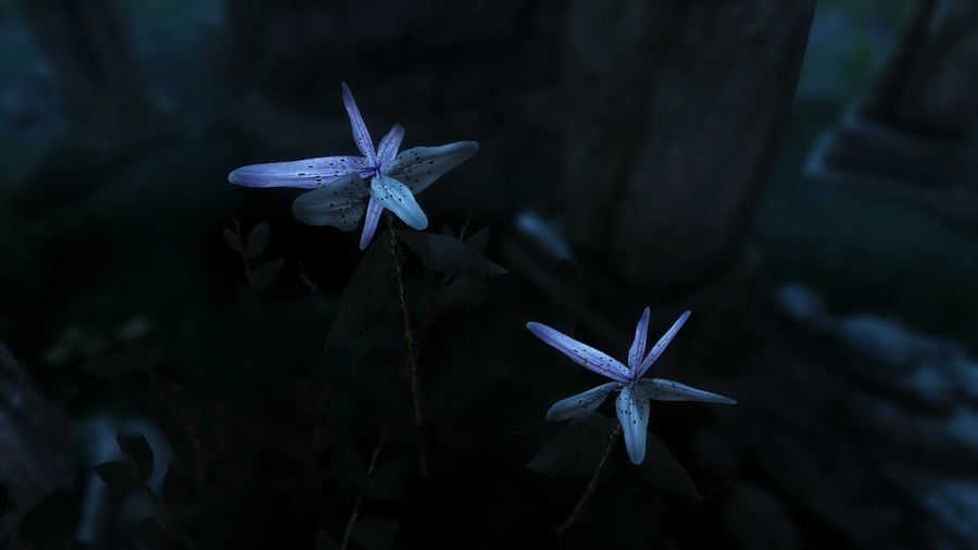 Nightshade in Skyrim: Description