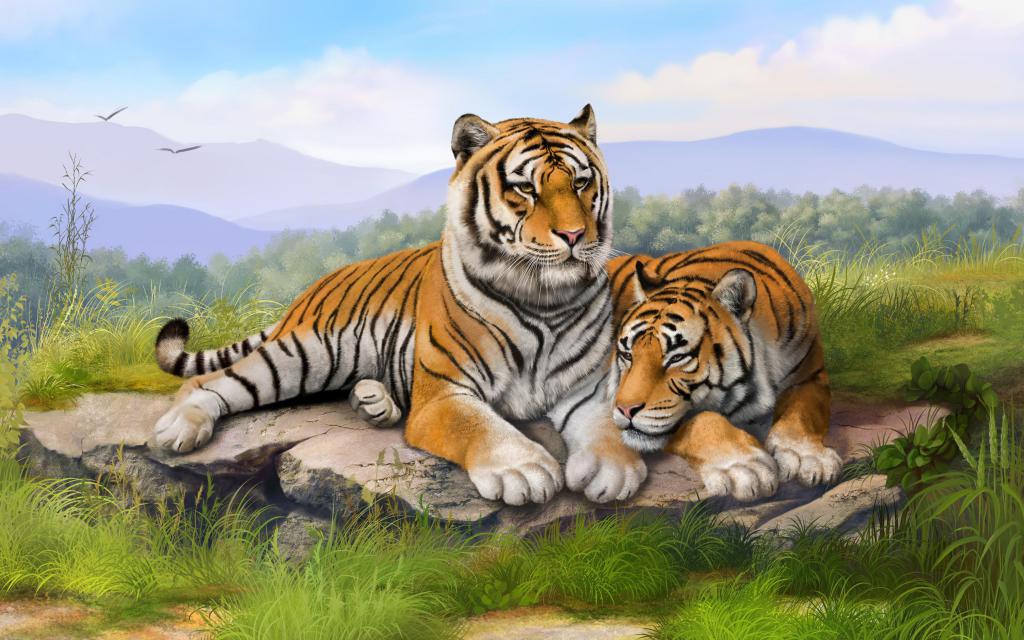 Совместимость Тигров в любви