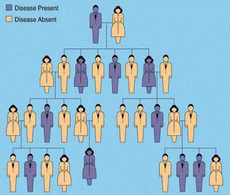 unit of heredity