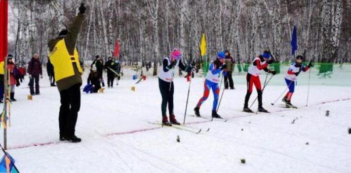 лагерь Альпийская деревня Омск