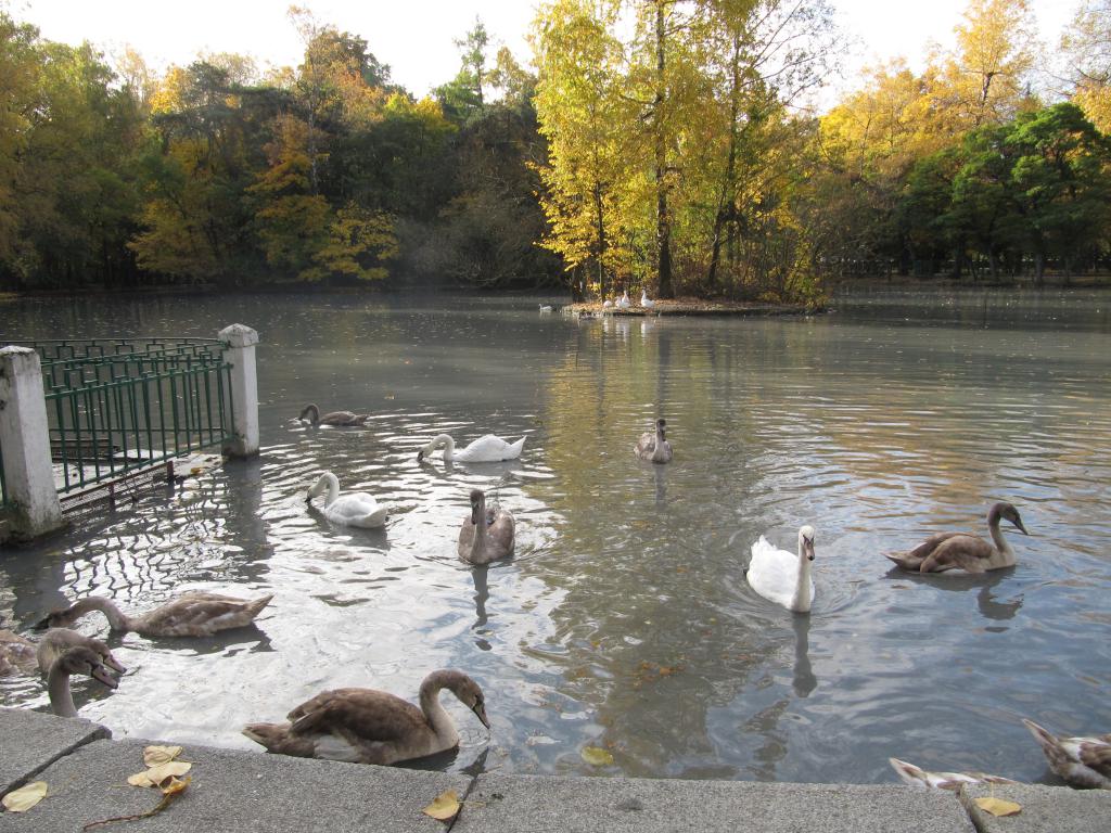 Kosta Khetagurov park Vladikavkaz