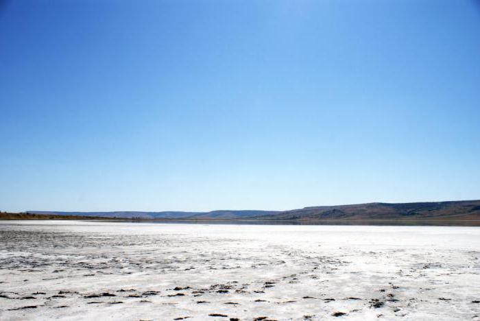 Светлоград соленое озеро фото