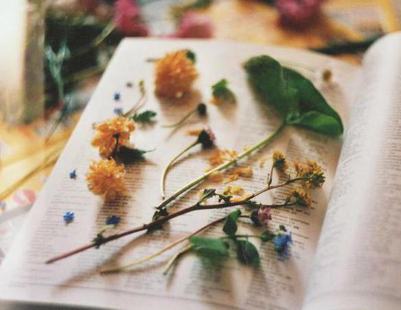 how to dry flowers