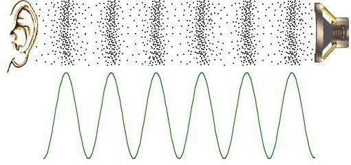 примеры звуковых явлений в физике