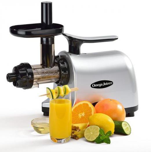 rating of the best screw juicers